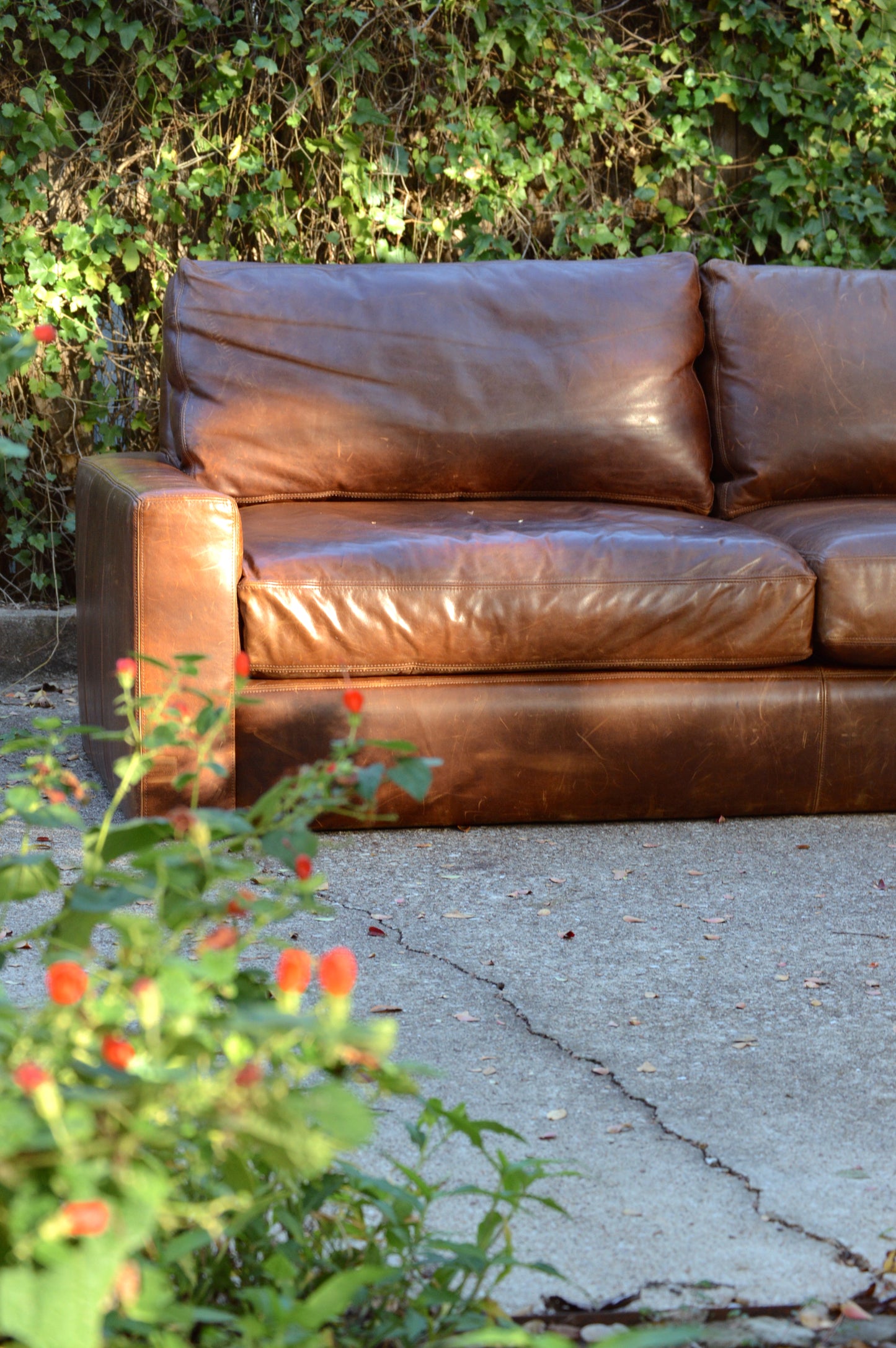 RH Maxwell 7’ Italian Berkshire Leather Sofa